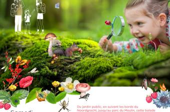 Sortie nature ” Les parcs urbains ” – Grande-Synthe (Nord)