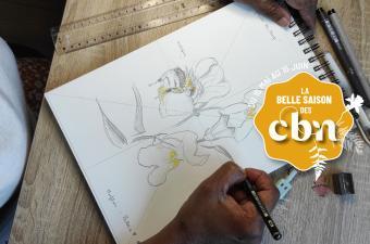Atelier d'initiation au dessin naturaliste