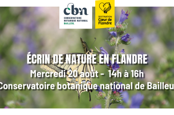 Sortie nature « Un écrin de Nature en Flandre » - Bailleul (Nord)