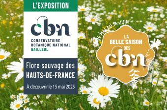 Vernissage de l'exposition FLORE SAUVAGE DES HAUTS-DE-FRANCE