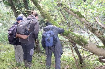 SAVE THE DATE : Sortie du collectif des bryologues du nord de la France le mardi 14 octobre 2025