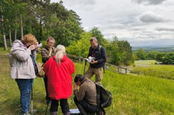 Retour sur les rencontres botaniques en forêt domaniale de Vauclair (Aisne)