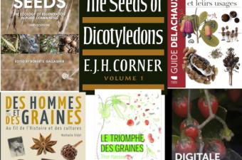 L'automne, saison des graines... Rendez-vous à la bibliothèque du CBN de Bailleul