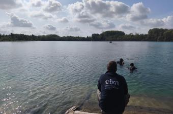 Le lac bleu de Rœux, bien plus qu'une simple ancienne carrière de craie : une plongée pleine de surprises ! 