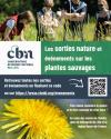 Flyer sorties nature CBN de Bailleul