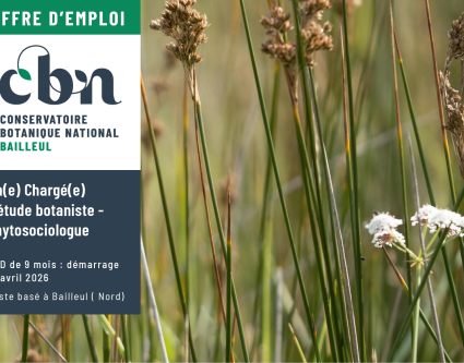 Offre d'emploi : Chargé(e) d’étude botaniste phytosociologue