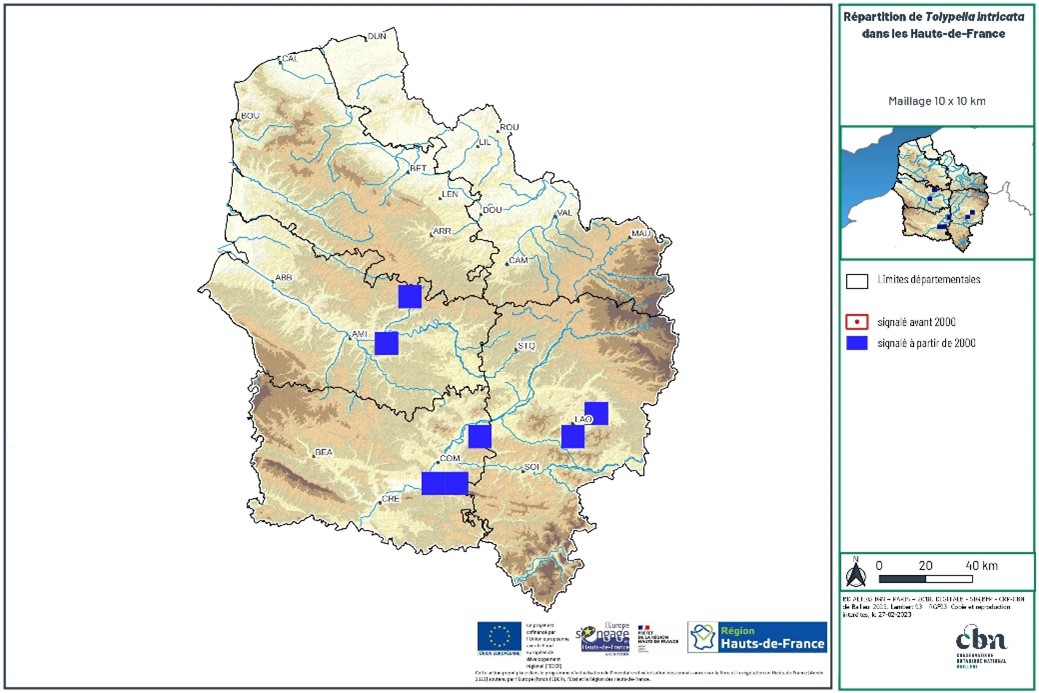 répartion Tolypella