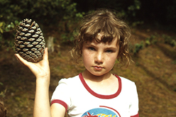 bertille