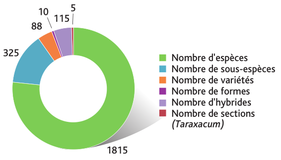 Répartition de la flore sauvage de Haute-Normandie selon les rangs taxonomiques